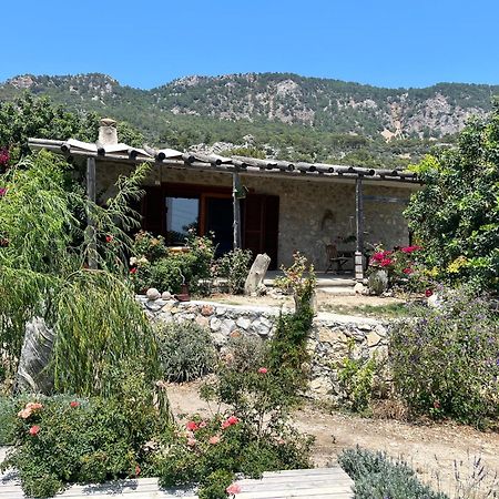 Beso Patara Hotell Exteriör bild