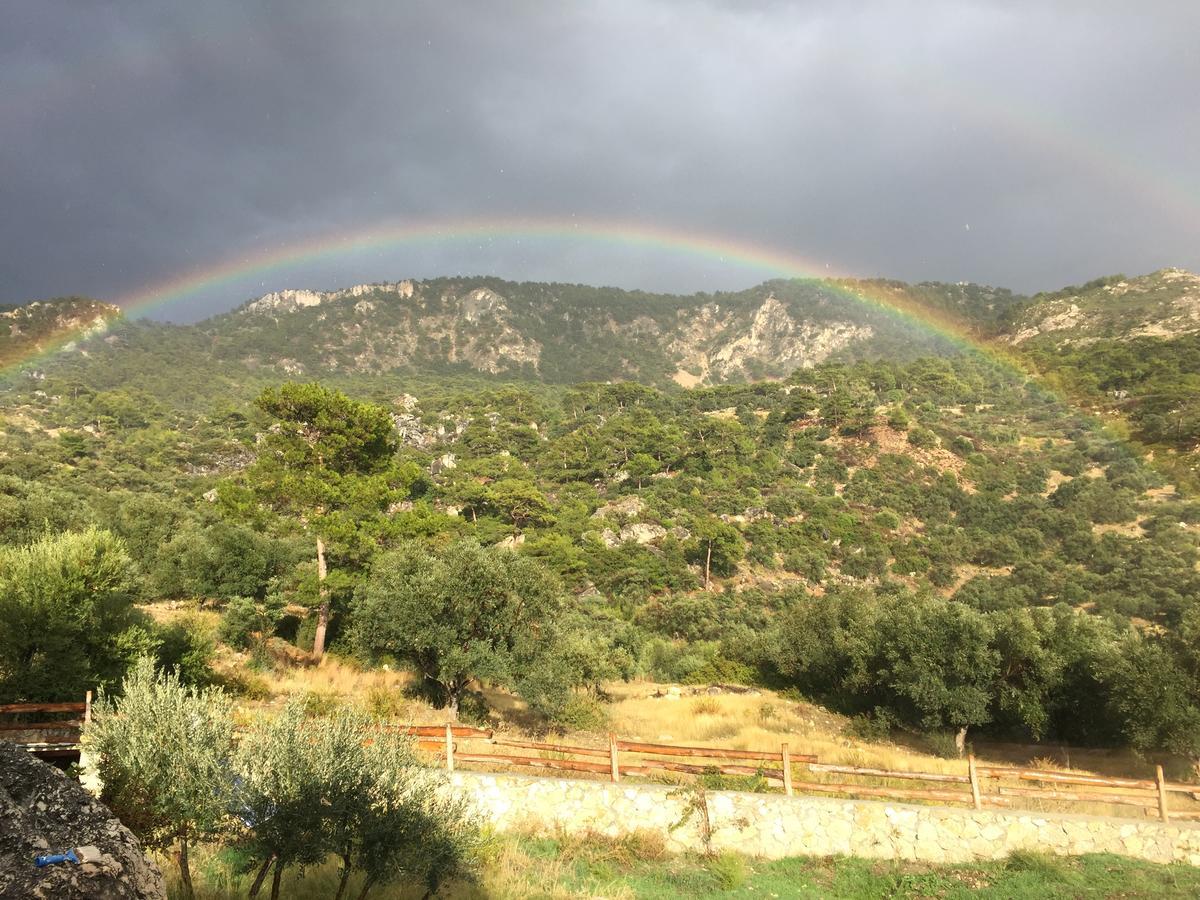 Beso Patara Hotell Exteriör bild