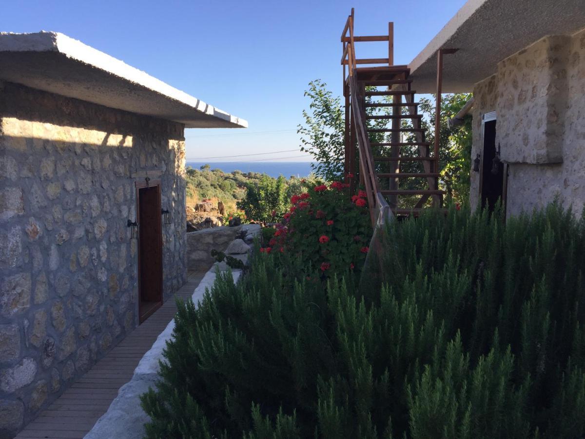 Beso Patara Hotell Exteriör bild